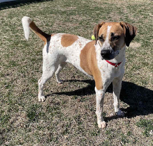 Photo of Rosie