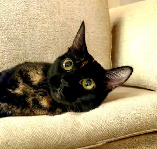 Photo of Margarite
