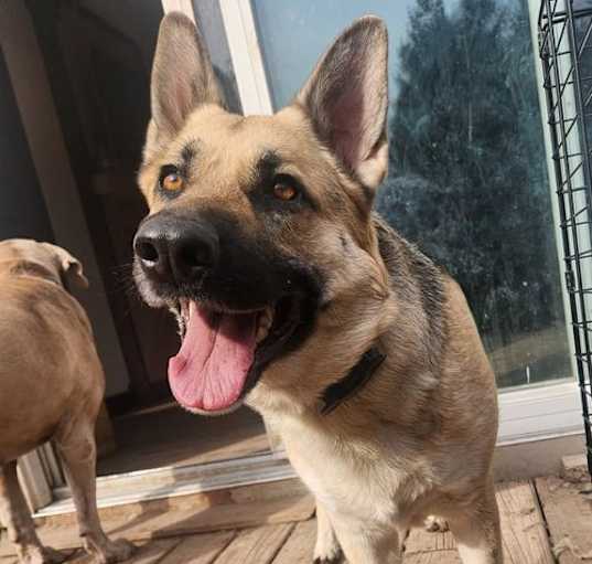 Photo of Mila