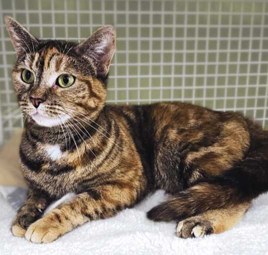 Photo of Lucy
