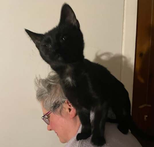 Photo of Sugar