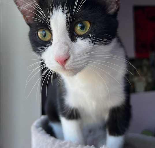 Photo of Lidia