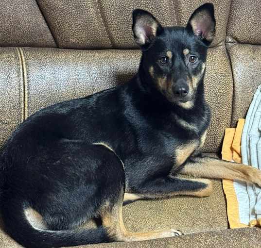 Photo of Kuku