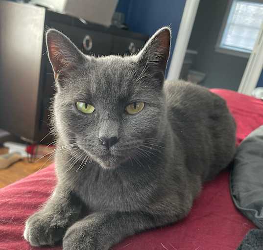 Photo of Sienna