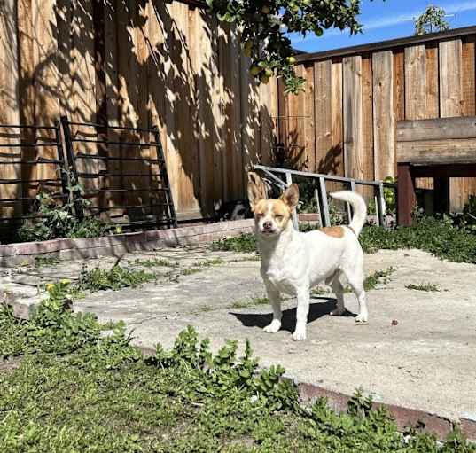 Photo of CoCo