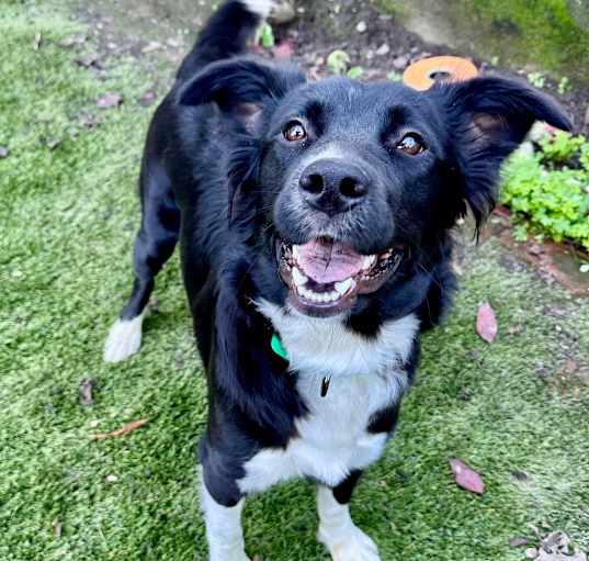Photo of MAMA MAGGIE 