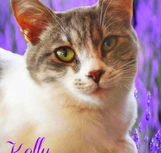 Photo of Kelly