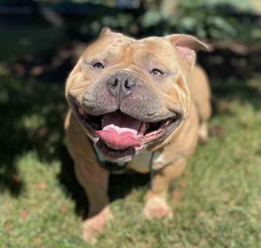 Photo of Odin