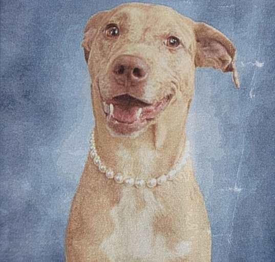 Photo of Athena