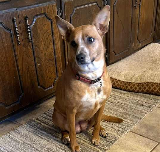 Photo of Hiedi