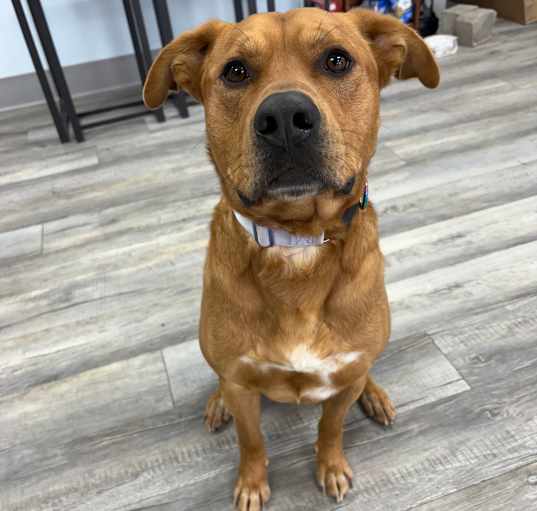 Photo of Gus