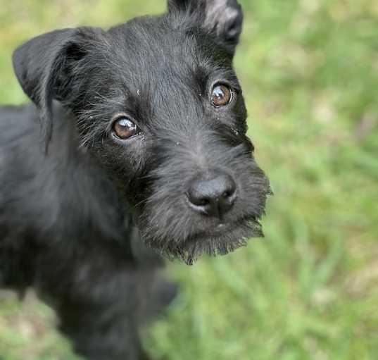 Photo of Gigi