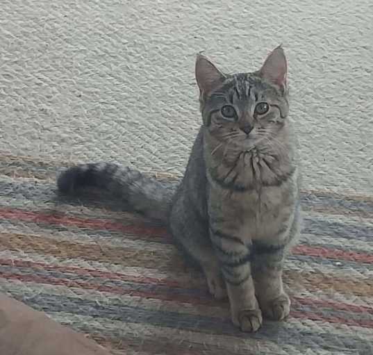 Photo of Winnie