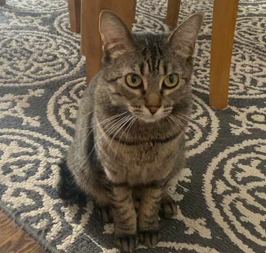 Photo of Korrie