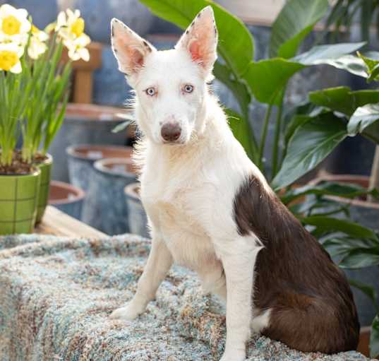 Photo of Maggie D18682