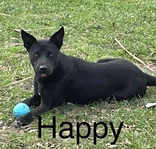 Photo of Happy