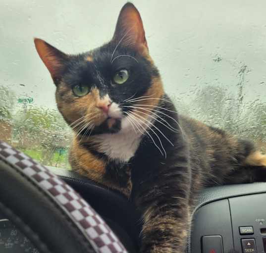 Photo of Kissy