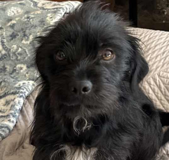 Photo of Velma