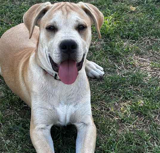 Photo of Breaker