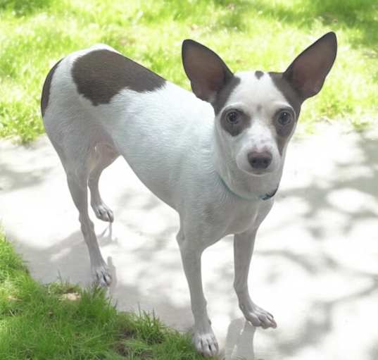 Photo of Fiona