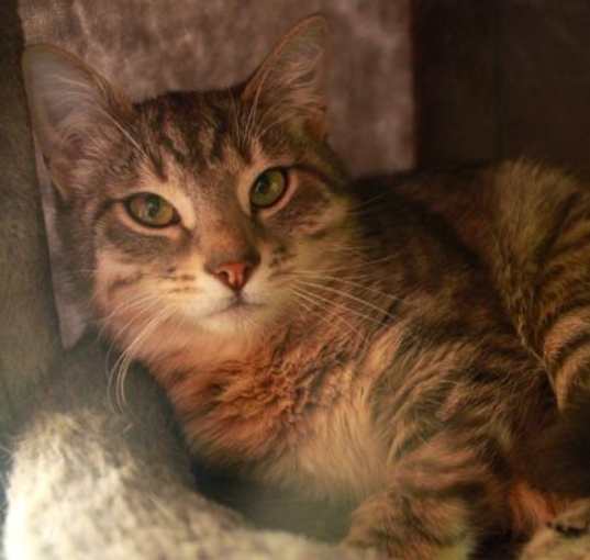 Photo of Smokey