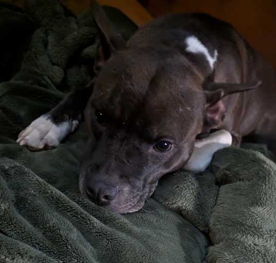 Photo of Precious