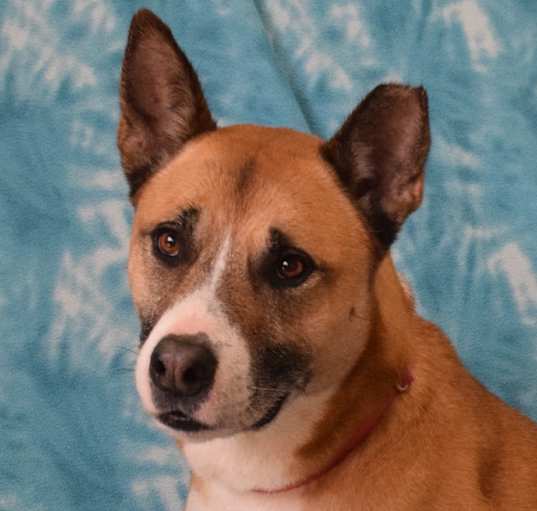 Photo of Maddy