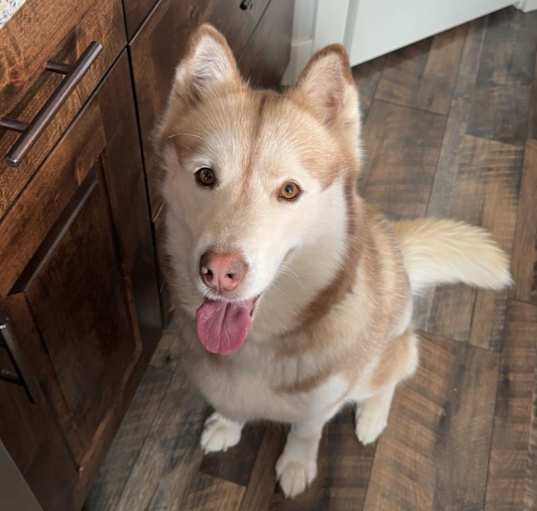 Photo of Kaisa