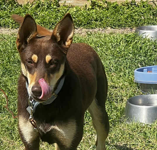 Photo of Diamond