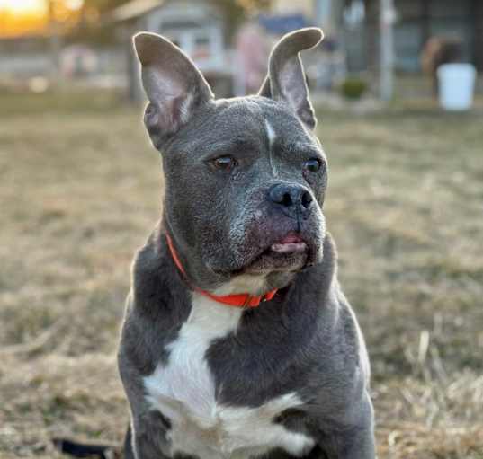 Photo of Debo