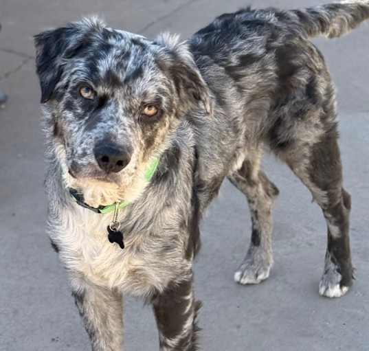 Photo of Kody
