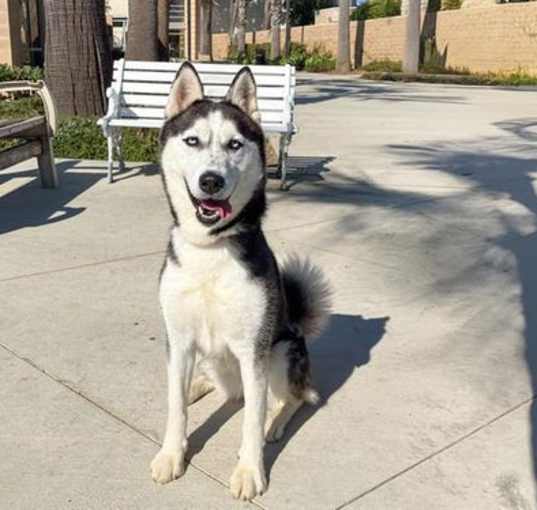 Photo of NALA