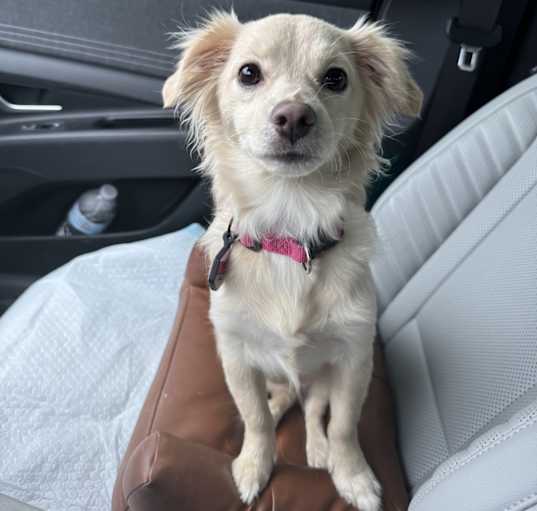 Photo of Sally