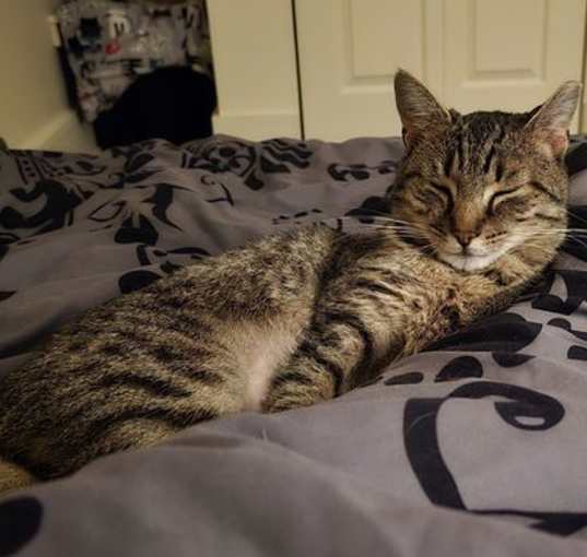 Photo of Luna