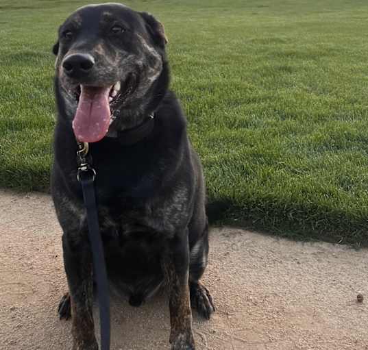 Photo of Duke