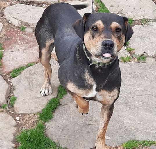 Photo of Trudy