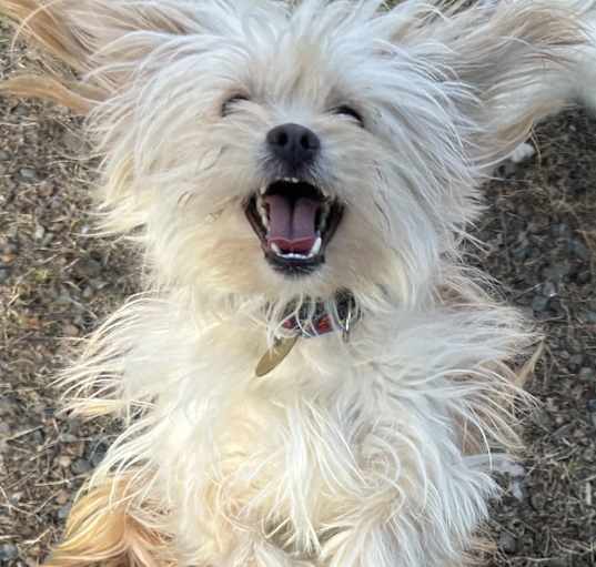 Photo of Baby Butters