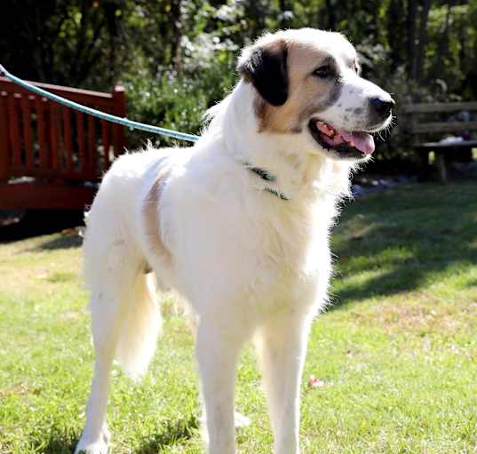 Photo of WYATT
