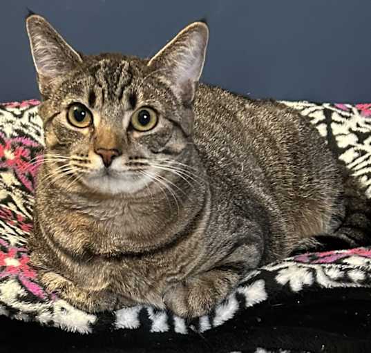Photo of Rayla