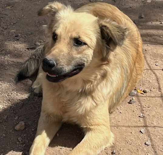 Photo of Winnie