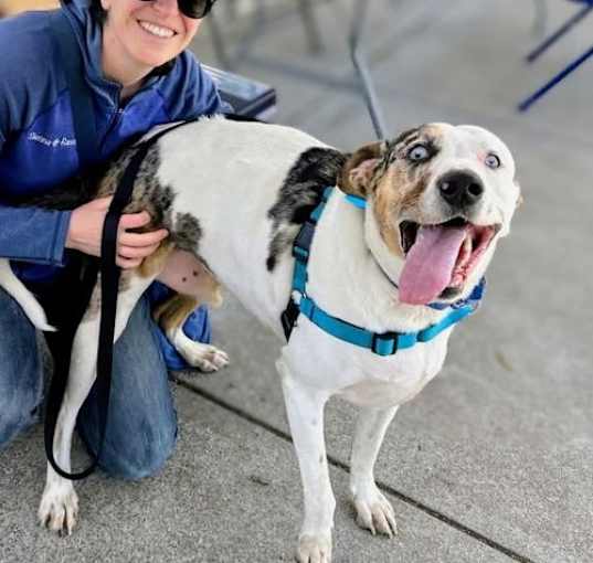 Photo of Tugboat
