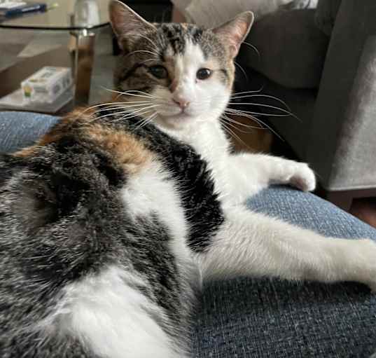 Photo of Maple & Luna
