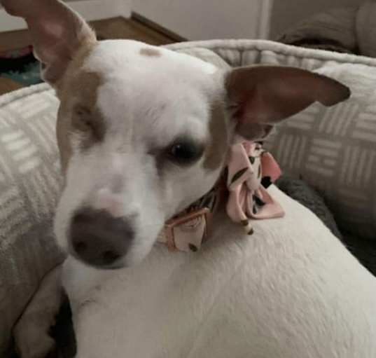 Photo of Cleo