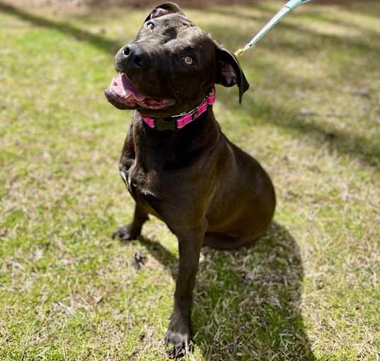 Photo of Molly