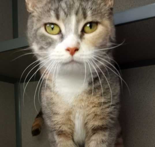 Photo of Swizzle