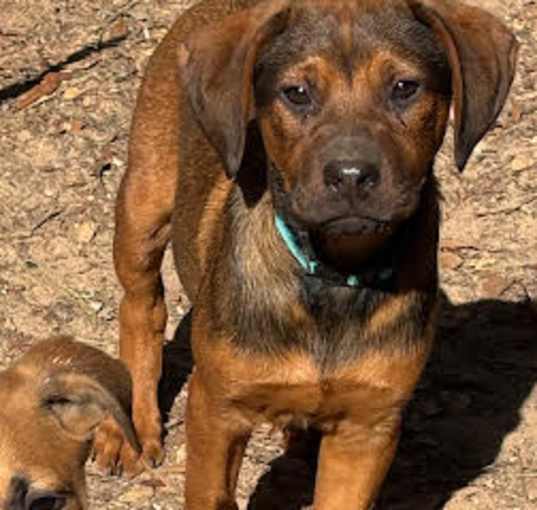 Photo of Potsie