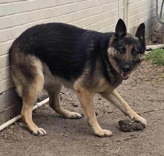 Photo of Bella
