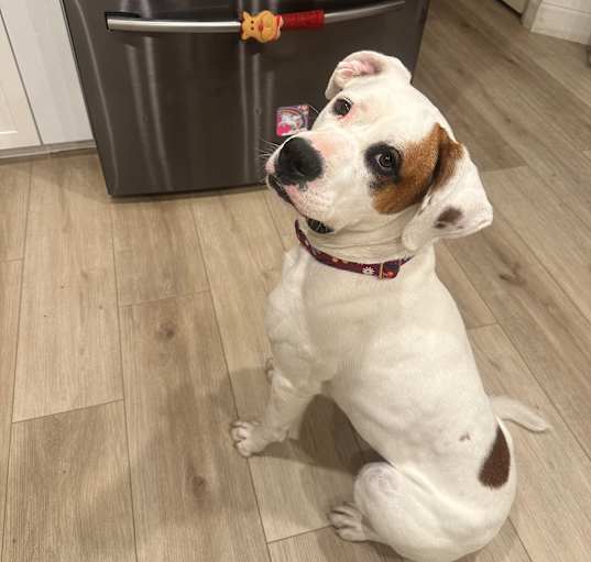 Photo of Jessie