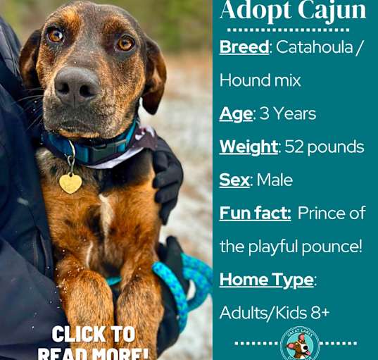 Photo of Cajun