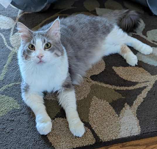 Photo of Big Boy